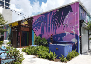 Miami Murals The Color Dreamers Bottled Blonde