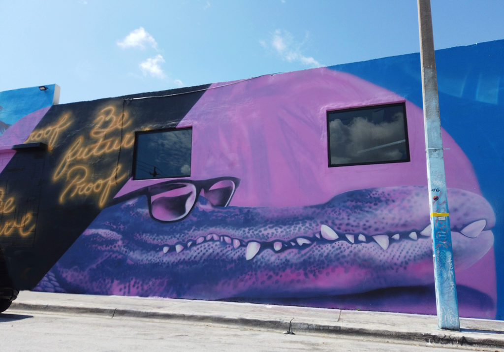 The Color Dreamers Miami Murals Brain Station